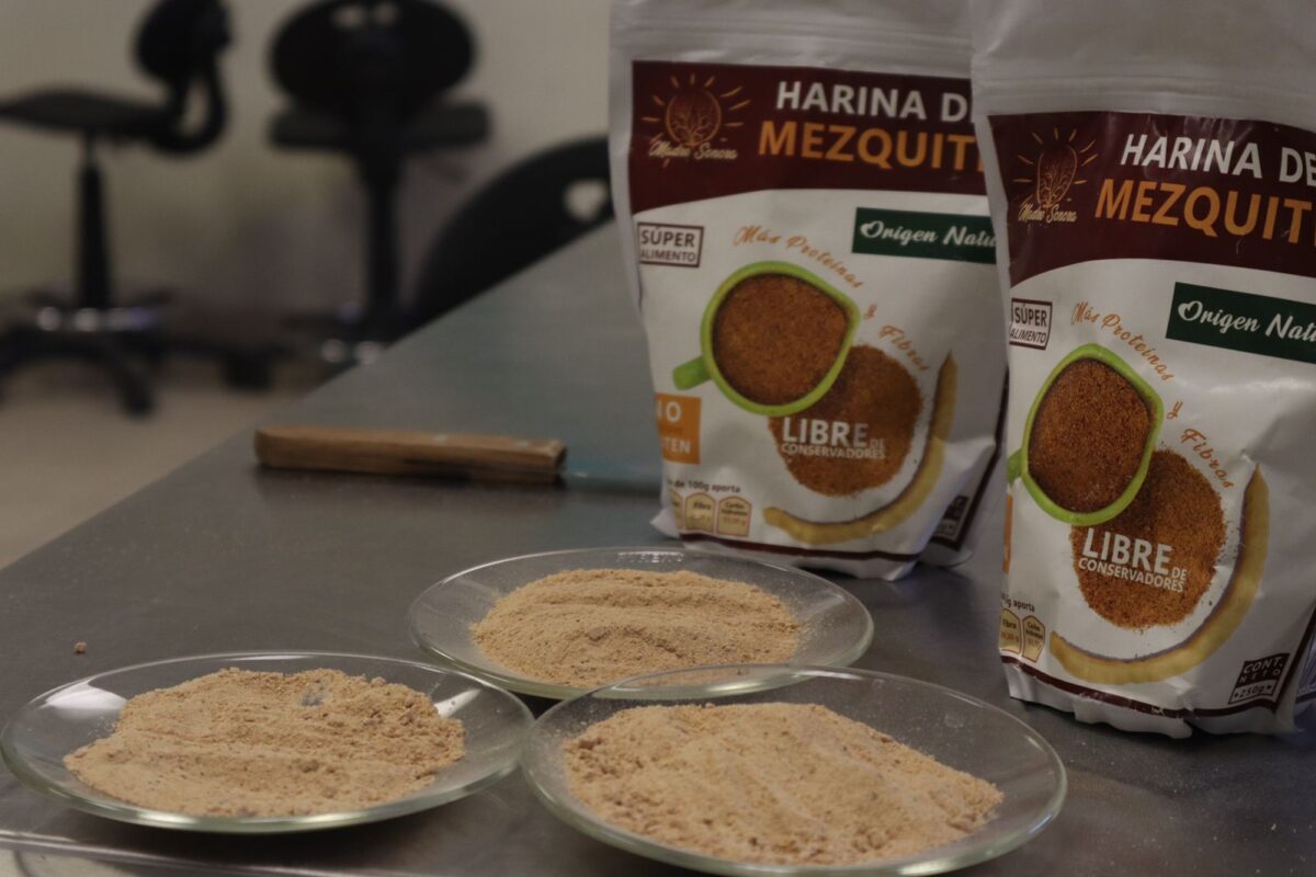 Publica prestigiosa revista internacional investigación de la Universidad Tecnológica de SLRC