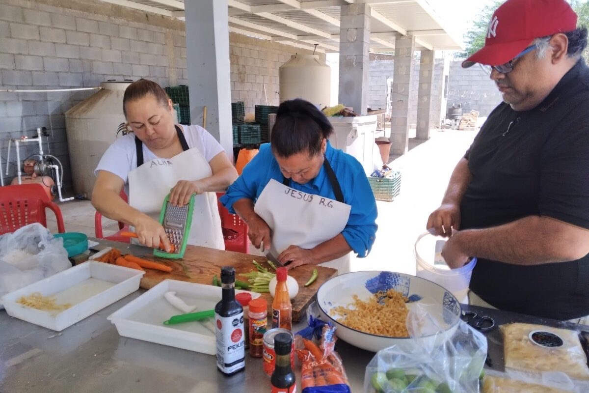 Favorece Gobierno de Sonora a pescadores del Golfo de Santa Clara
