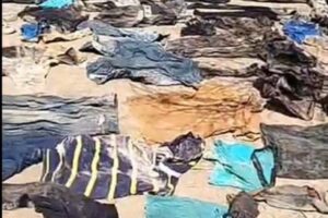 Encuentran restos óseos y prendas de vestir en zona rural de Hermosillo